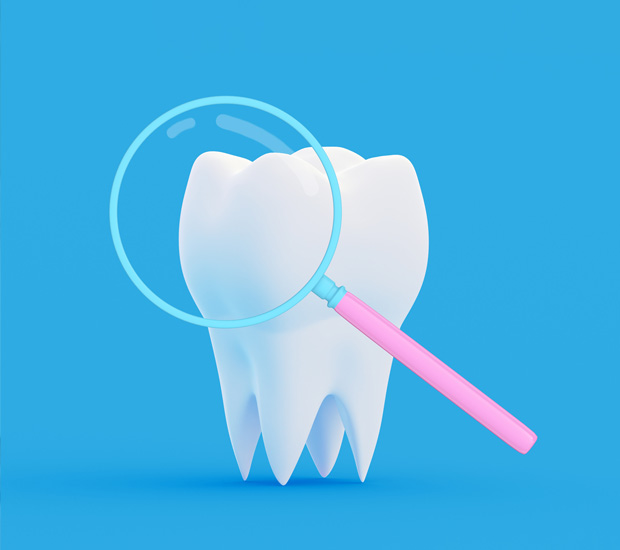 Chester The Truth Behind Root Canals